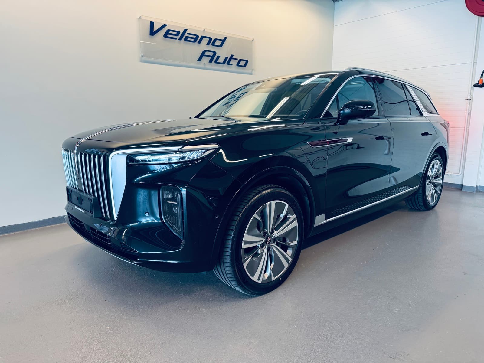 Hongqi E-HS9