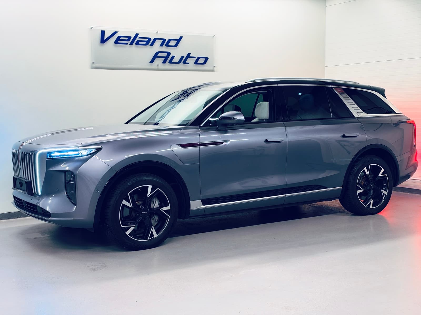 Hongqi E-HS9